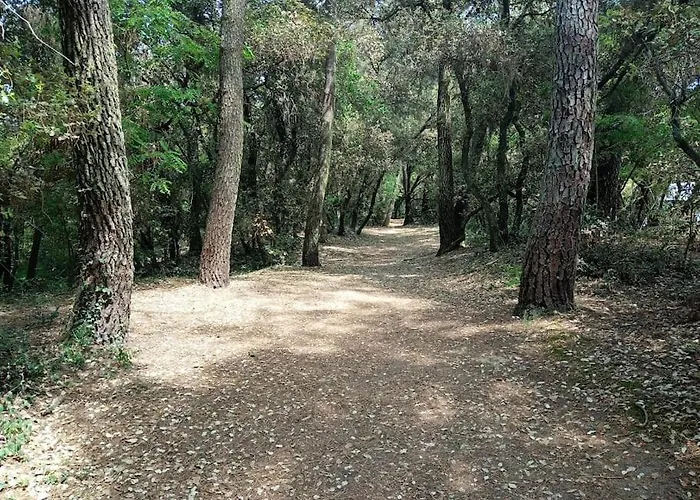 T2 Au Coeur Du Golf De Port Bourgenay Apartman *